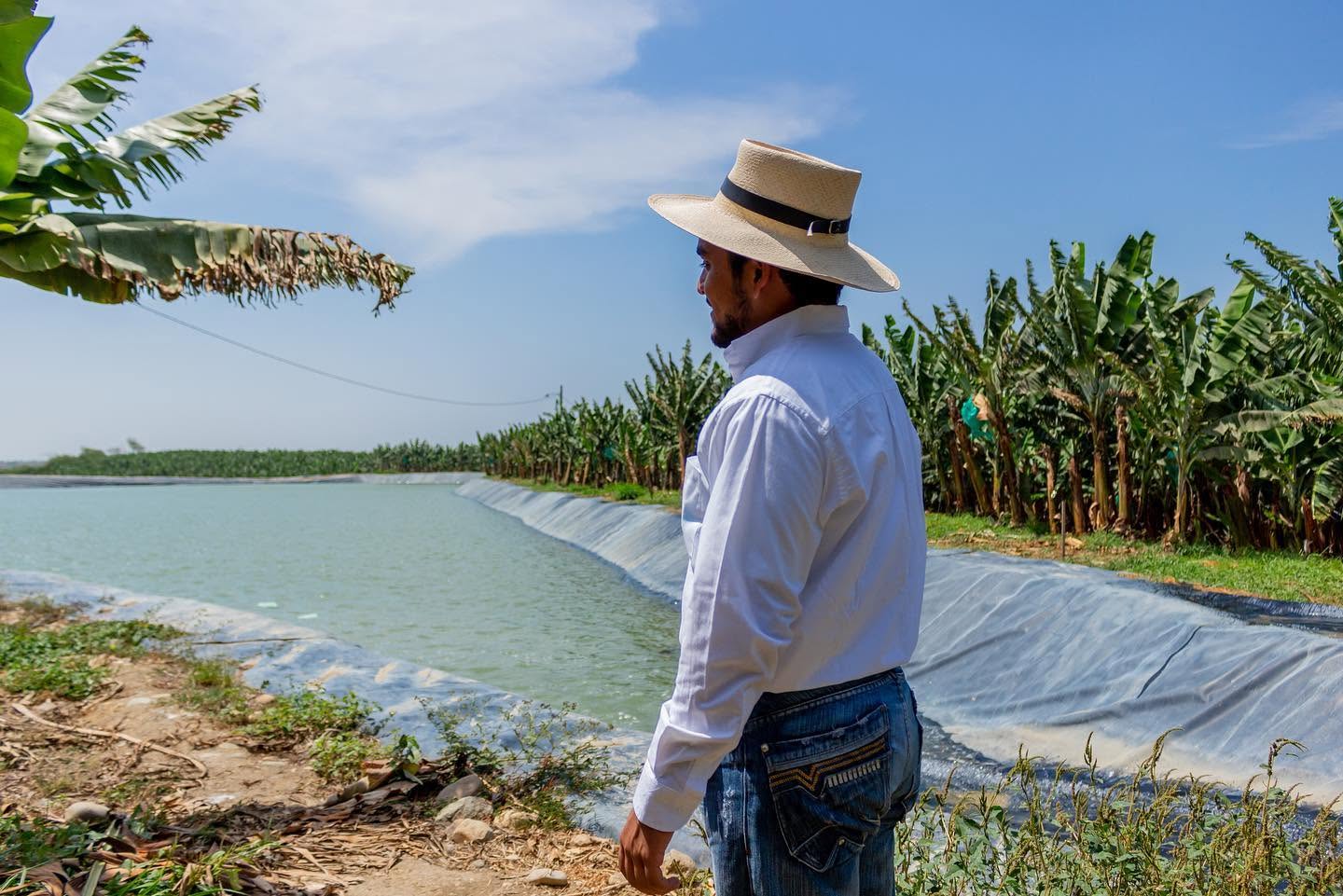Sistema de agua para los cultivos
